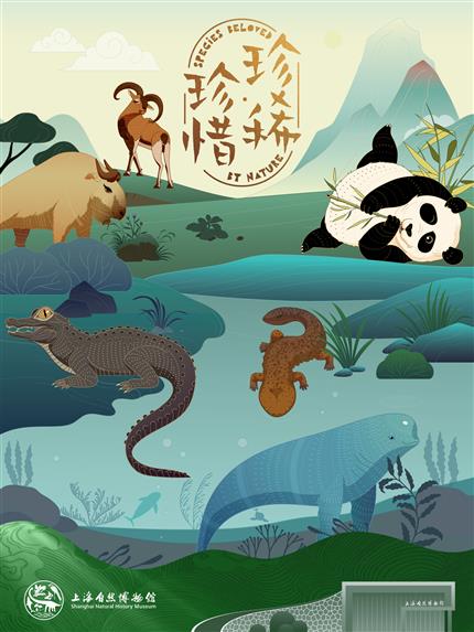 珍稀珍惜