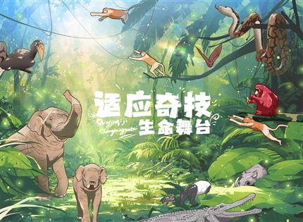 自然展厅-东南亚热带雨林食物链插画