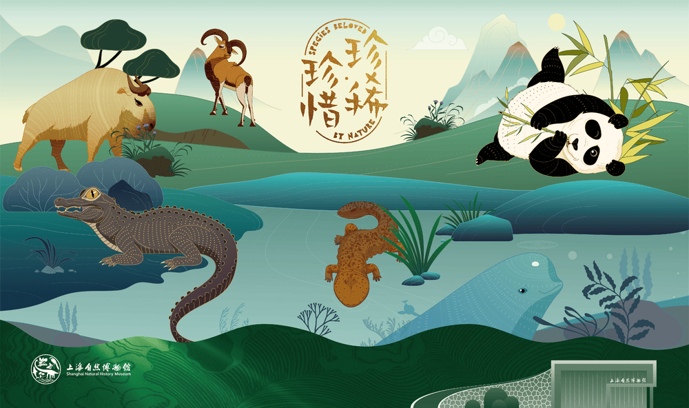 珍稀珍惜 1