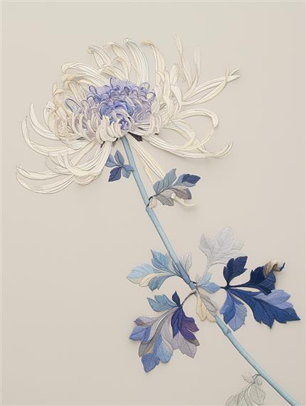 菊花韵，京剧魂——自然与戏曲的文化交融
