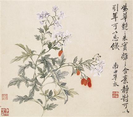 【明末清初】恽寿平《山水、花卉册》