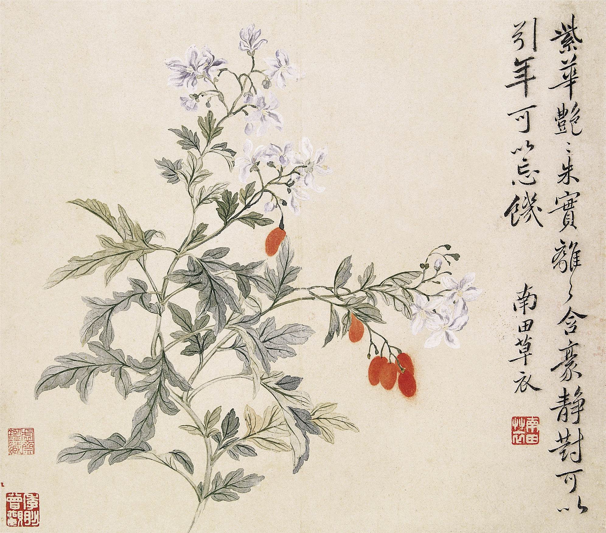 【明末清初】恽寿平《山水、花卉册》 1